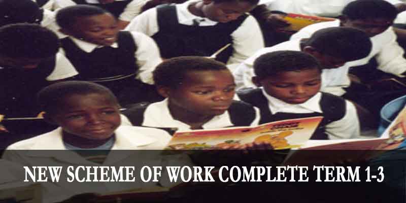 new scheme of work Civic Education