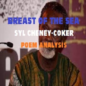 Poem Syl Cheney– Coker – The Breast of the Sea-